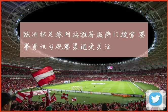 欧洲杯足球网站推荐成热门搜索 赛事资讯与观赛渠道受关注