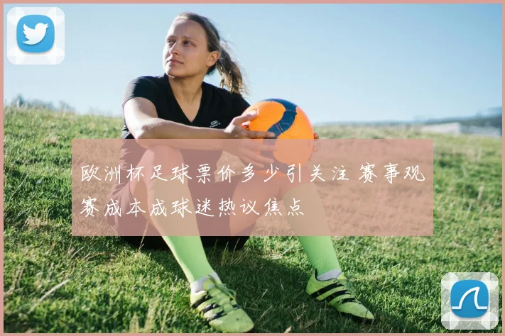 欧洲杯足球票价多少引关注 赛事观赛成本成球迷热议焦点