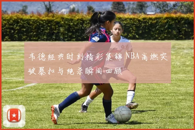 韦德经典时刻精彩集锦 NBA高燃突破暴扣与绝杀瞬间回顾